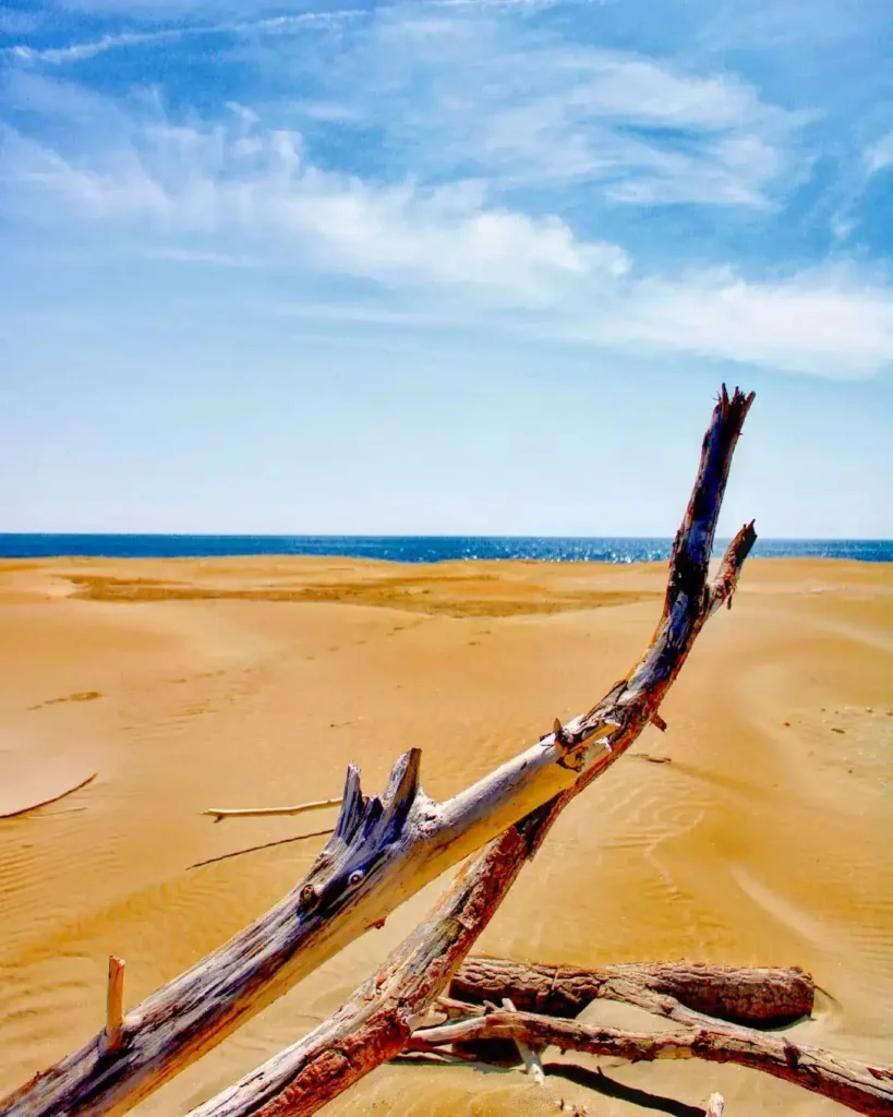 Narbonne-Plage