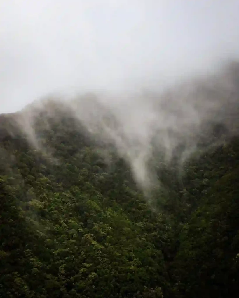 Tenerife-île