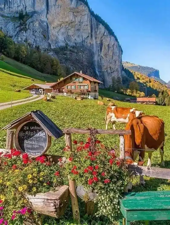  Lauterbrunnen- Suisse-Tourisme