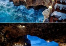 Bari, Italie | Tout ce que vous devez savoir Tourisme 2023 Bari-Italie