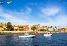 Locations de Vacances sur l’Île de Ré – Hébergements Uniques lIle-de-Re